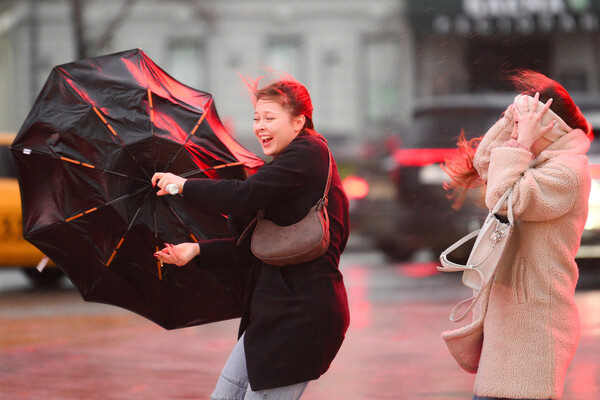 Девушки идут по улице во время дождя с сильным ветром в Москве, 21 ноября 2024 года / Максим Блинов/РИА Новости   📷