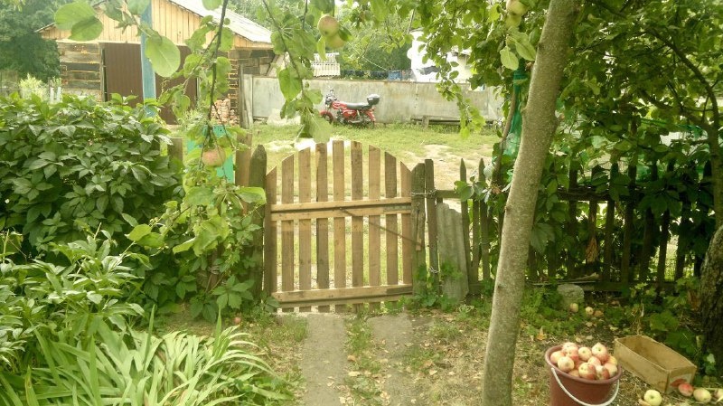 Где в Омской области осталось меньше всего населенных пунктов? Это Большеуковский (здесь всего 19 сел), Одесский (20) и Азовский (27