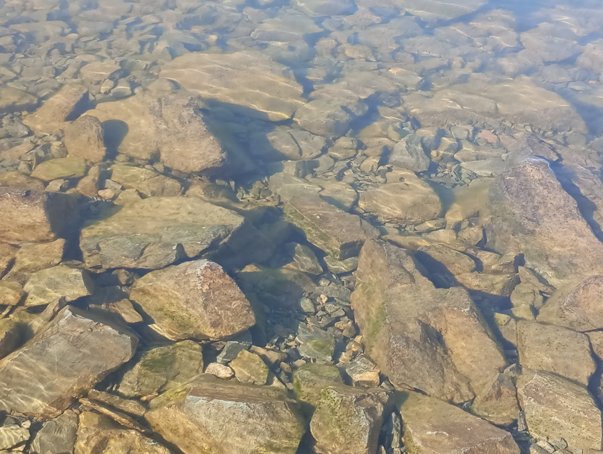 Чистая вода Телецкого озера