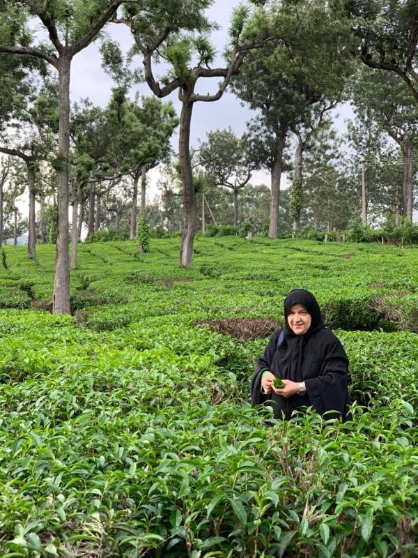 Шамс аль-Кассаби собирает чайные листья и специи по всей Индии, чтобы затем продавать их в своем магазине в Катаре / Источник: Фироз Сайед