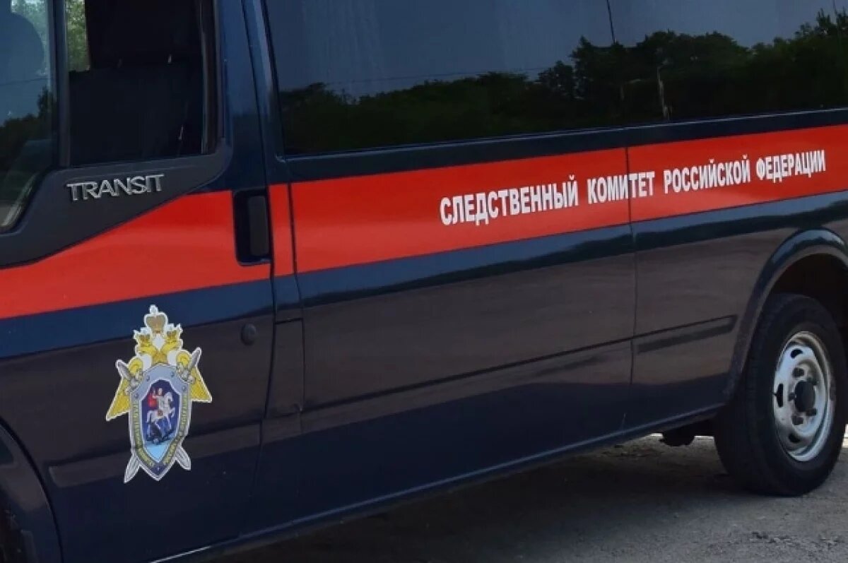    СК сообщил о проверке в СИЗО после смерти обвиняемого в похищении девочки