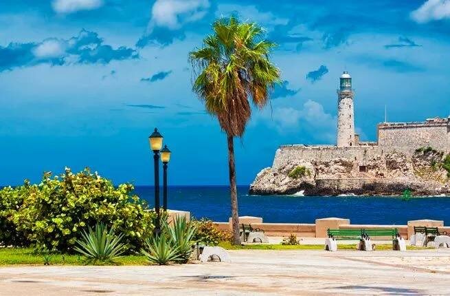 ОНИ ПРИХОДЯТ, ТОЛЬКО ЧТОБЫ ГРАБИТЬ