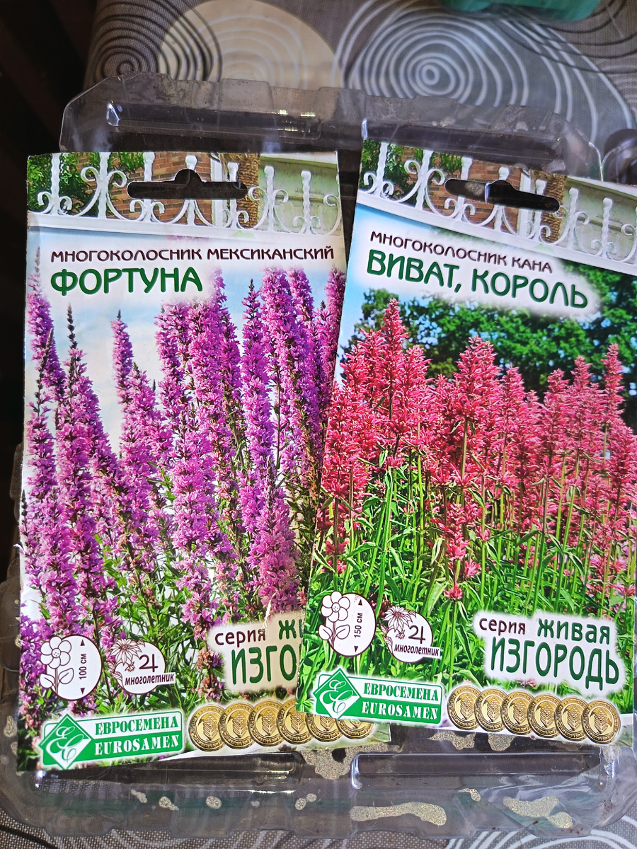 Многоколосник