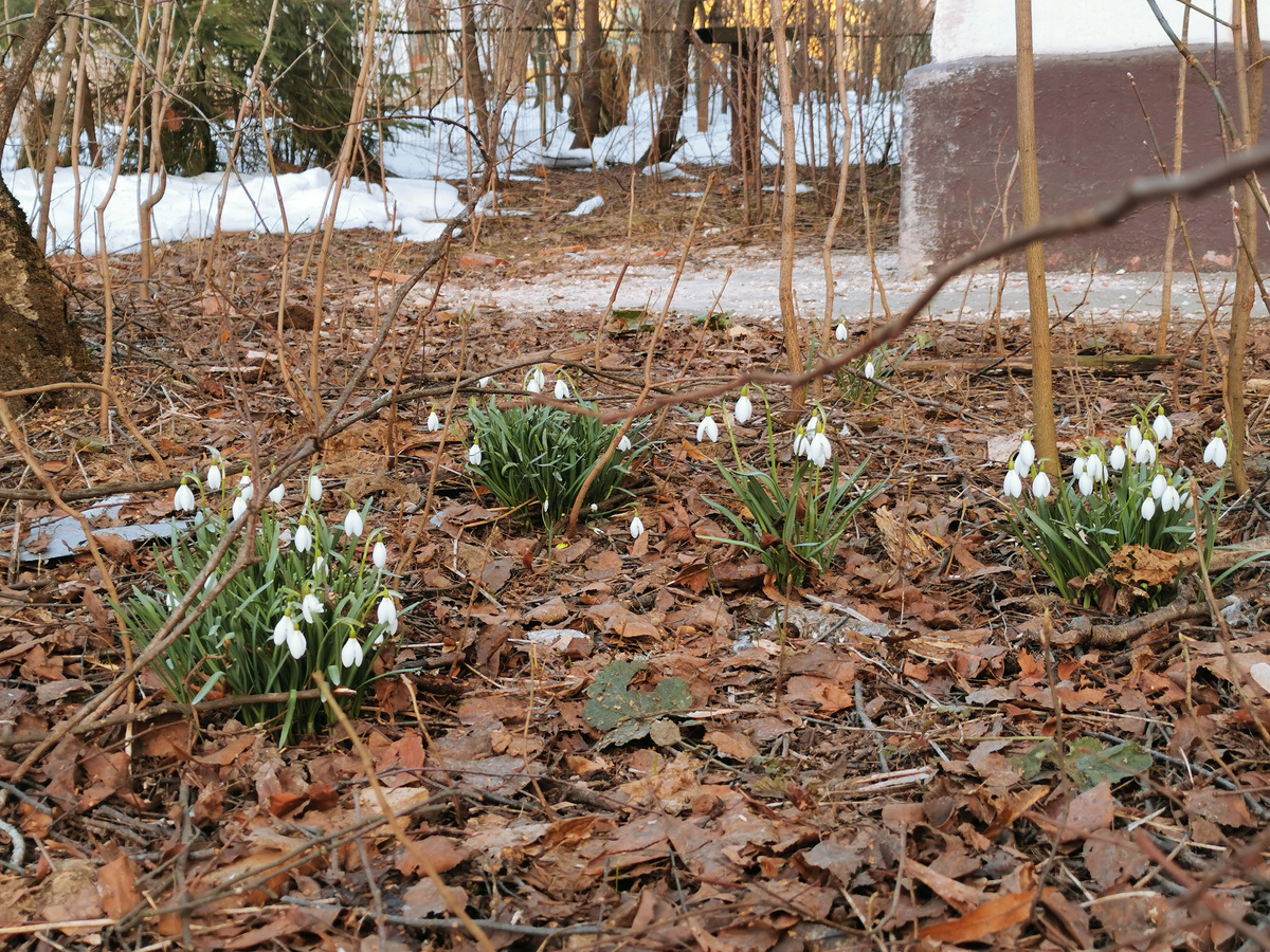 Это наша колыбель космонавтики! Небольшой квартал послевоенной постройки. Тут жили первые сотрудники НИИ-88, заместители и соратники С. П. Королёва,  создатели ракетно-космической отрасли, главные конструкторы, академики и ученые. Летние фото далее в галерее 