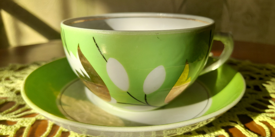 Цветы хлопка на моём фарфоре