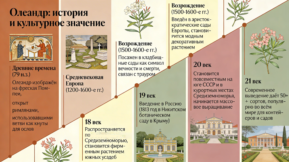 Олеандр: исторические корни
