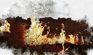 Изображение от pvproductions на Freepik  📷
