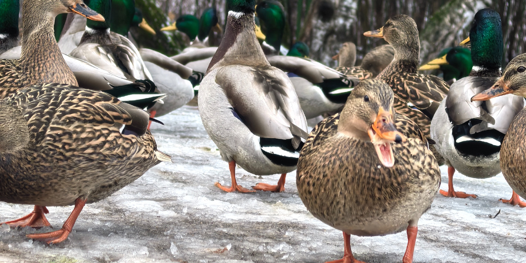 Честный разговор с мужчиной 40+ о селфи, моде и женской логике...