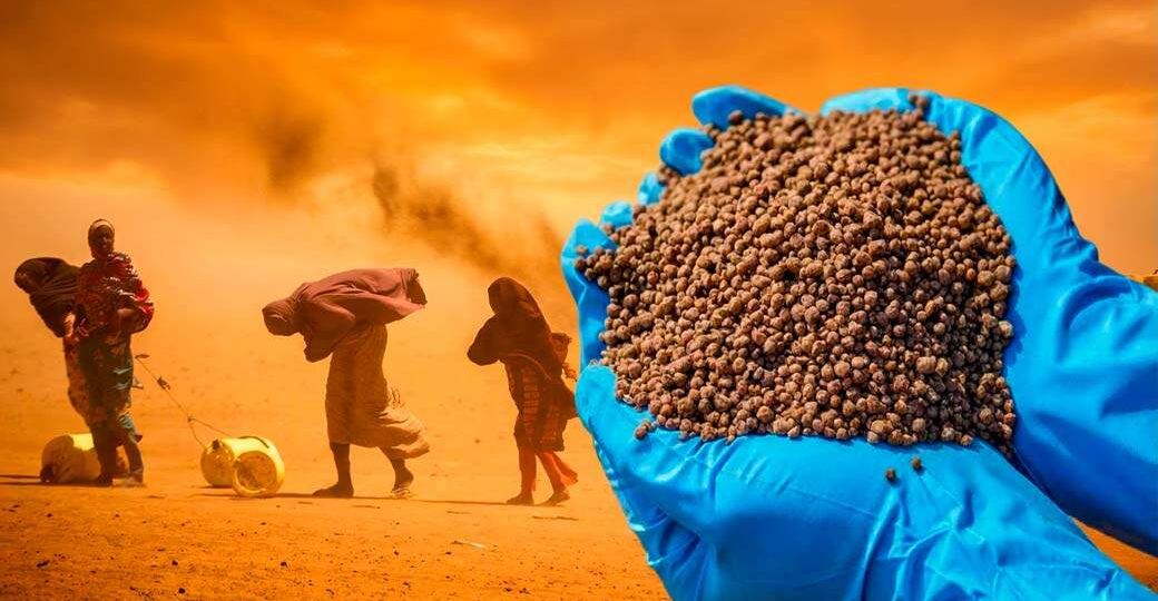 Ормузский коктейль серы и фосфора. Цены на удобрения прут вверх: ближневосточный конфликт бьёт по агрохимии и провоцирует голод
