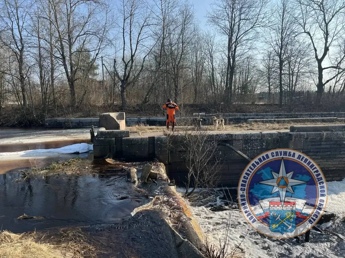    Фото: аварийно-спасательная служба Ленобласти