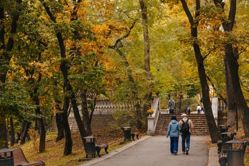     Тематическое фото. Фото: Яна Гайдук, ИА PrimaMedia.ru