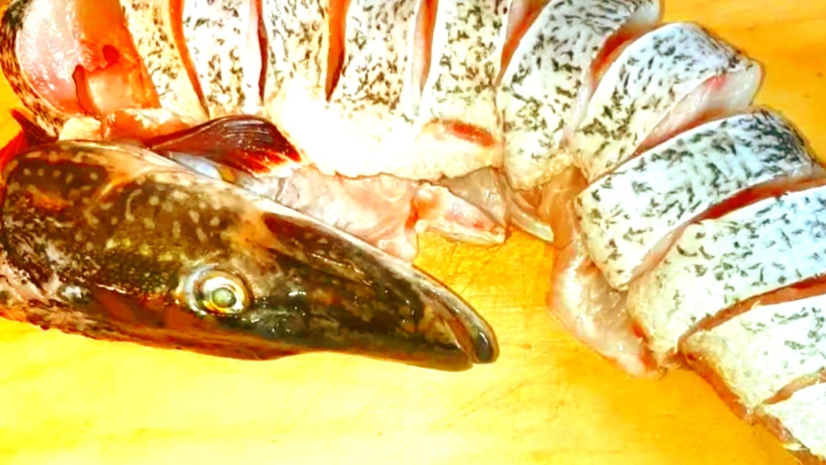 Малосольная щука опасна