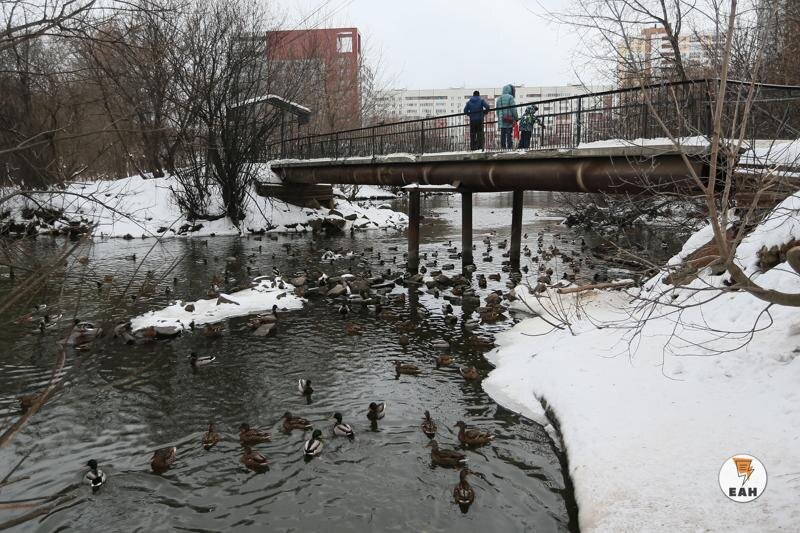    ЕАН. Река Исеть в районе дендропарка в Екатеринбурге