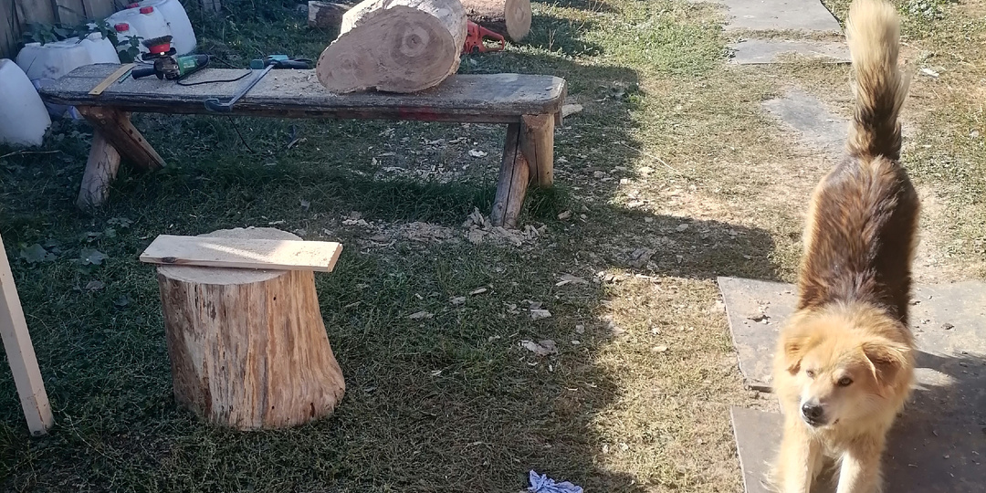 Тебе повезло, ты не такой, как все, ты работаешь в офисе!