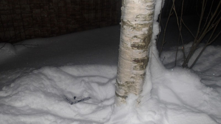    Фото МВД по Коми