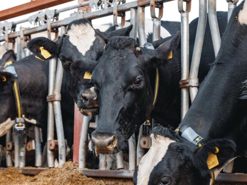 Иллюстрация: https://ru.freepik.com/author/fabrikasimf