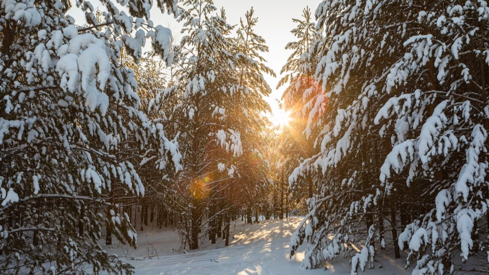    Сургутский район вошел в Национальный туристический маршрут «Месторождение Югра»