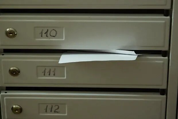    Источник: lenta.ru/ Вероника Ситникова