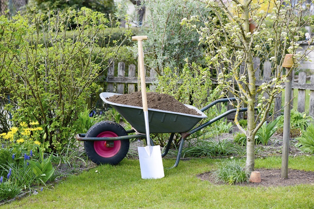    Начинающие садоводы спрашивают: чем удобрить землю весной? Разбираем лучшие варианты для огорода. / iStock