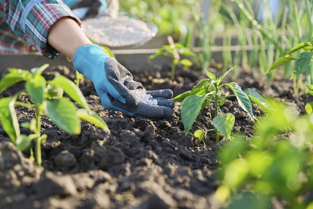    Весной почве остро не хватает азота, фосфора и калия - главных элементов питания. / Фото: iStock