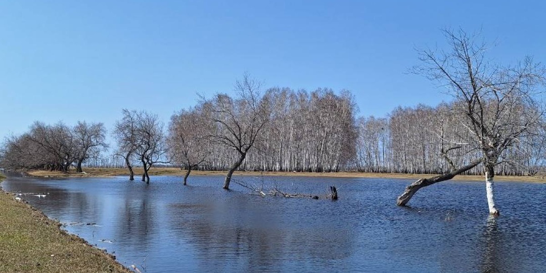 Омские синоптики назвали сроки вскрытия рек и возможные риски половодья