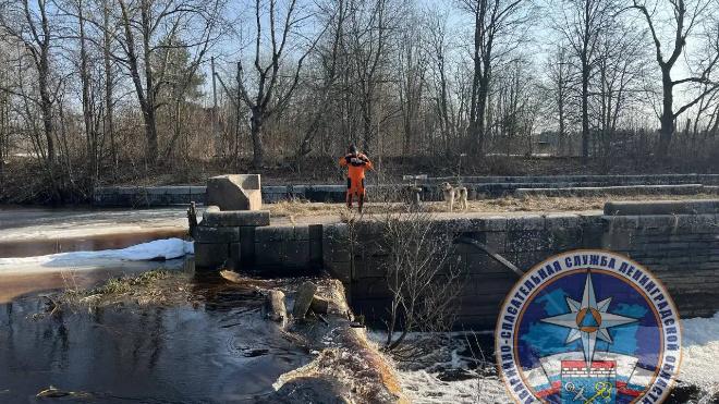 Фото: Аварийно-спасательная служба Ленинградской области
