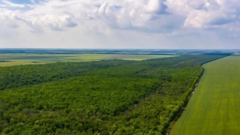      Фото: прокуратура СК