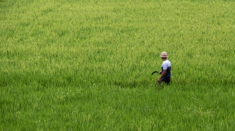 Nick Fewings/Unsplash