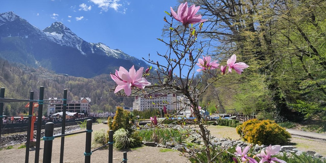 Роза Хутор, Европа среди гор ... и гусь