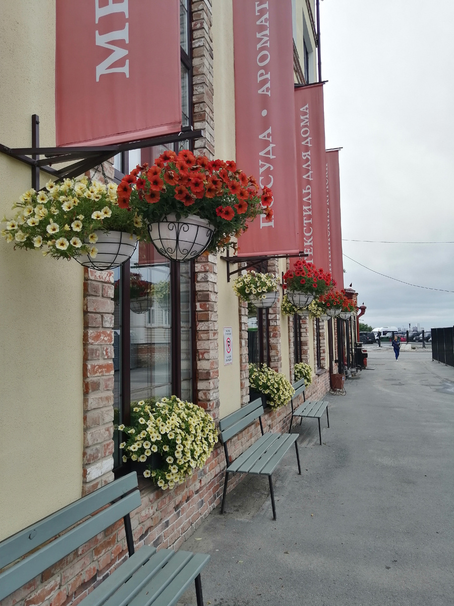 Вкусный цвет Петхоа сорта BEAUTICAL Cinnamon (Корица) и 