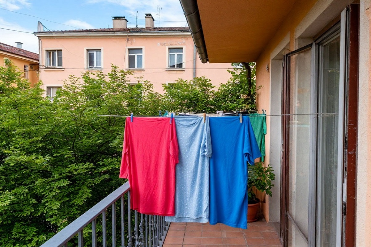    Фото: Коллаж RuNews24.ru