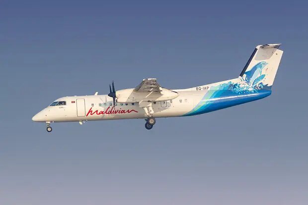    Источник: lenta.ru/ София Васильева