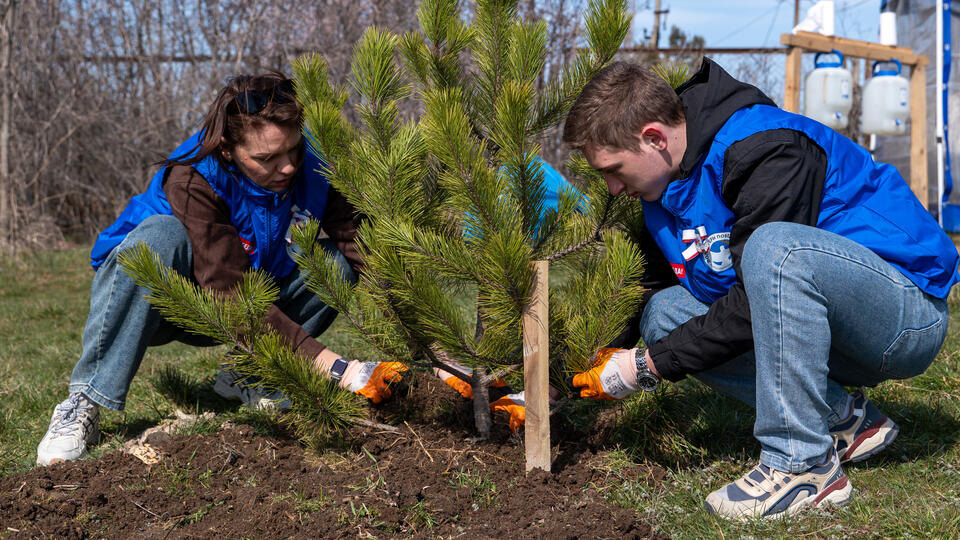     Посвященная героям ВОВ и спецоперации акция "Сад памяти" началась в Севастополе Пресс-служба акции "Сад памяти"