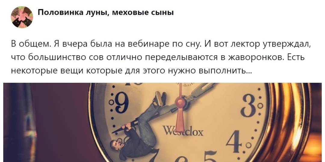 «Давайте переделаем жаворонков под сов!»: пользователи пытаются понять, можно (и нужно) ли изменить свой хронотип за две недели
