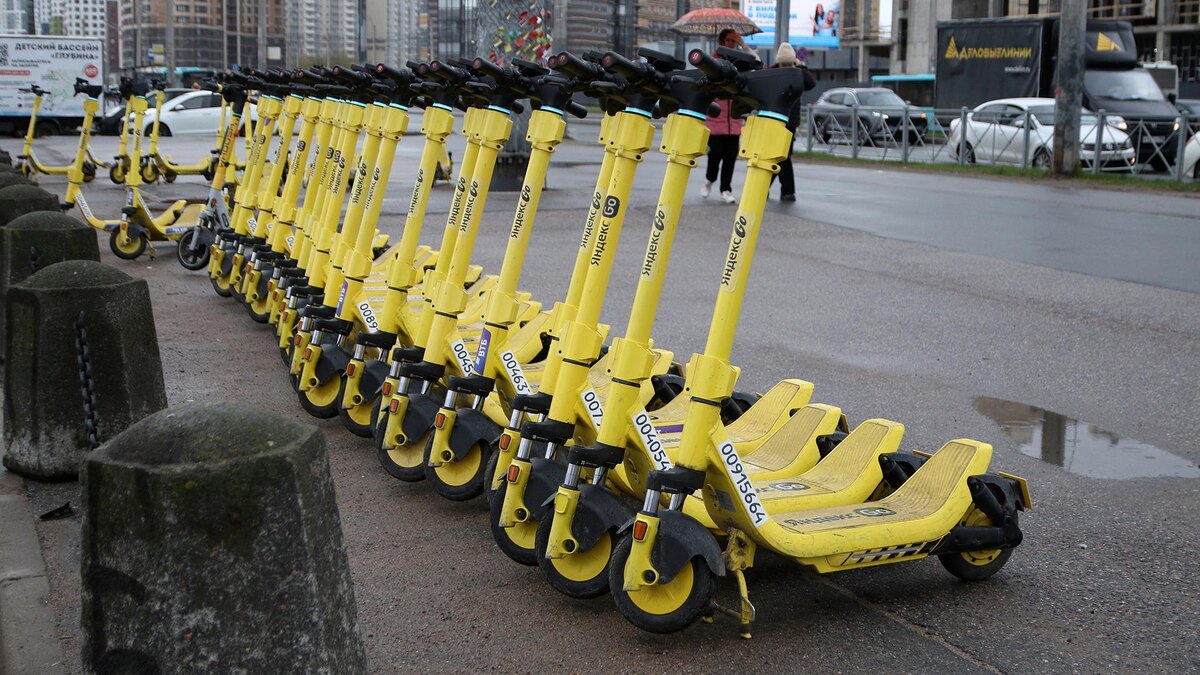    Фото: Maksim Konstantinov/globallookpress.com