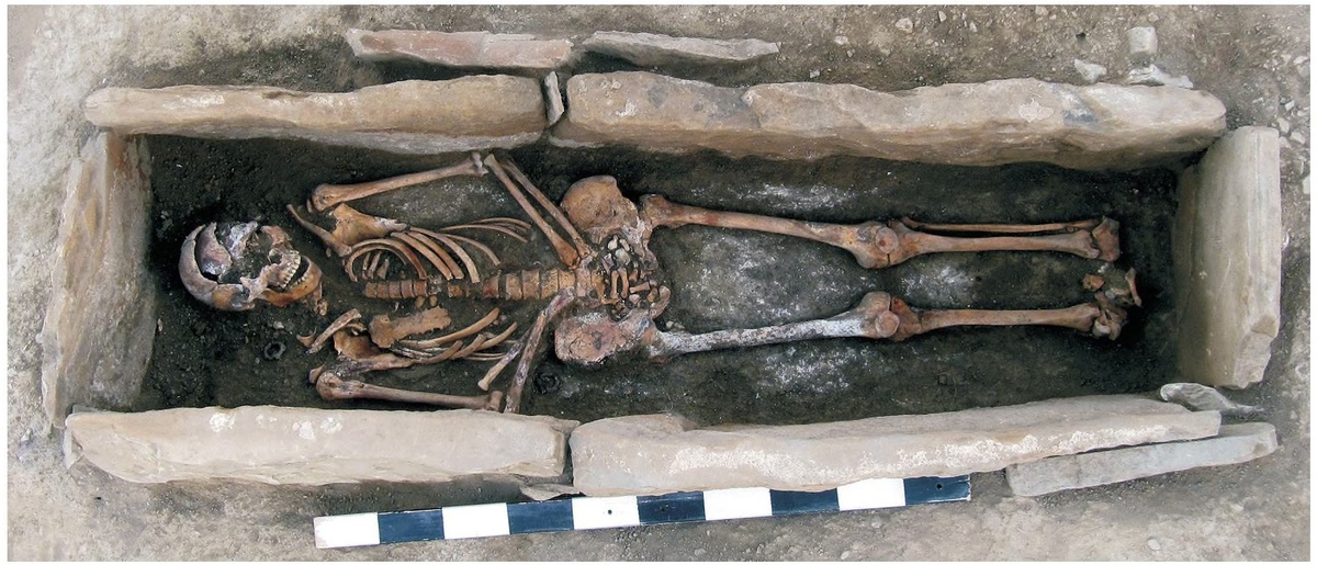 Анализ ДНК из средневековых захоронений показал генетическую связь с современными народами Кавказа. Источник: Минобрнауки России