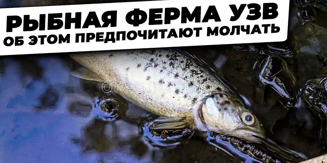 Почему фермы УЗВ ломаются и выходят их строя.