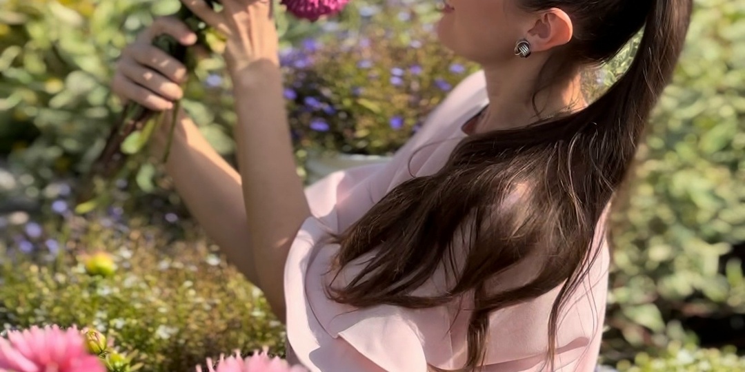 Выращиваем астры из семян правильно