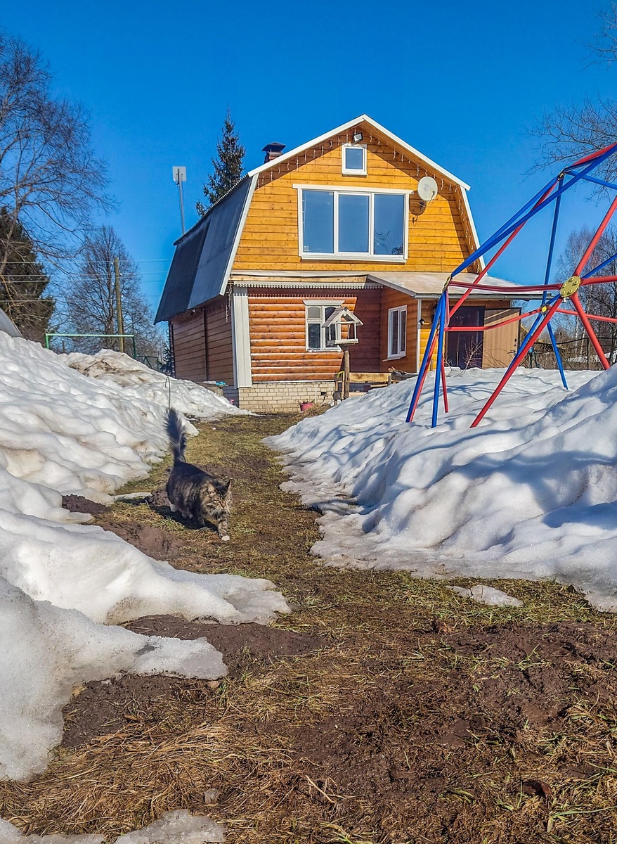 Весна на участке