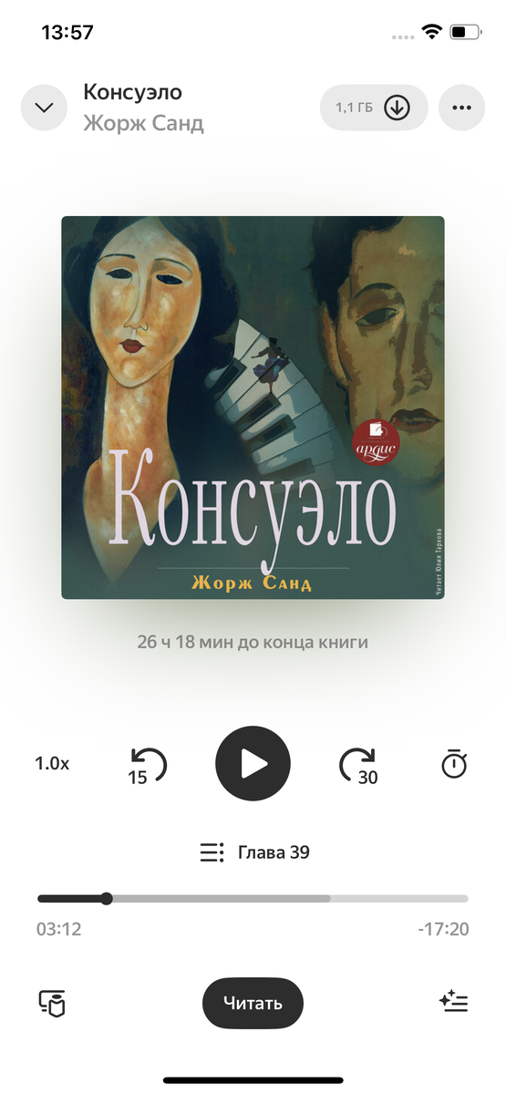Скриншот из приложения Яндекс книга