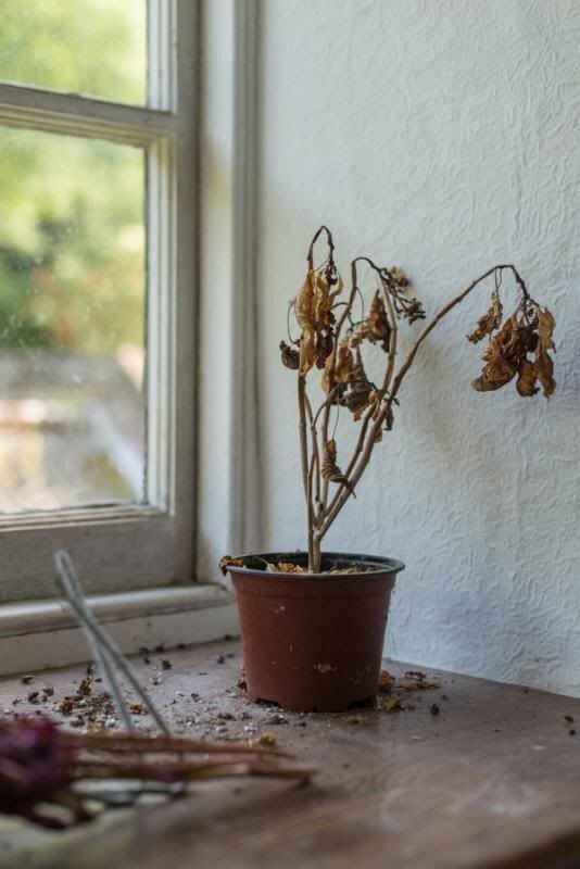 Взято из Pinterest