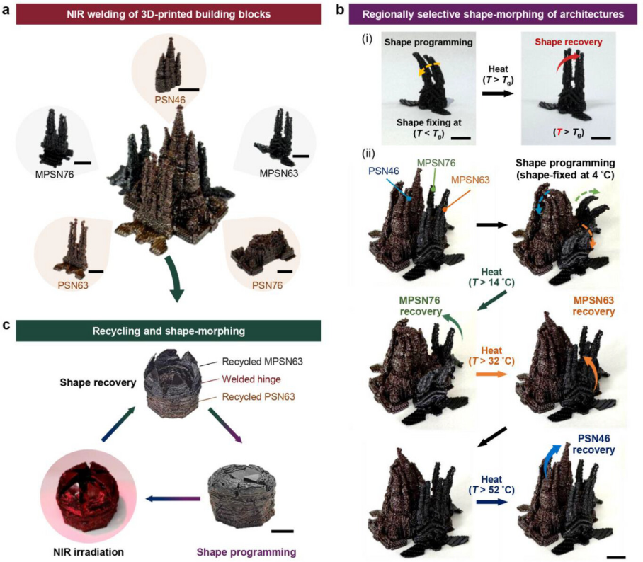 Эскизы напечатанных динамичных зданий: стадиона и храма