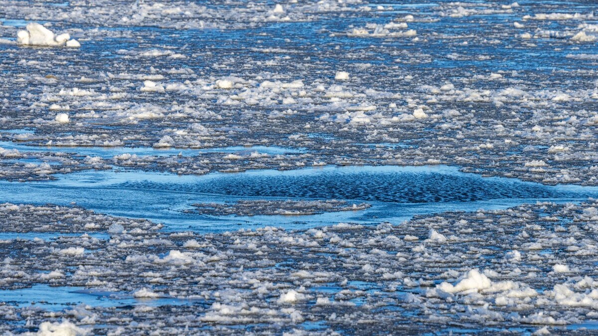    Фото: Федор Воронов/«Ямал-Медиа»