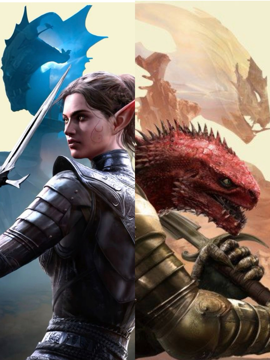 "Divinity: Original Sin II"  2017; Разработчик: Larian Studios