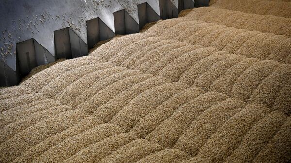    © Sputnik / Александр Кряжев