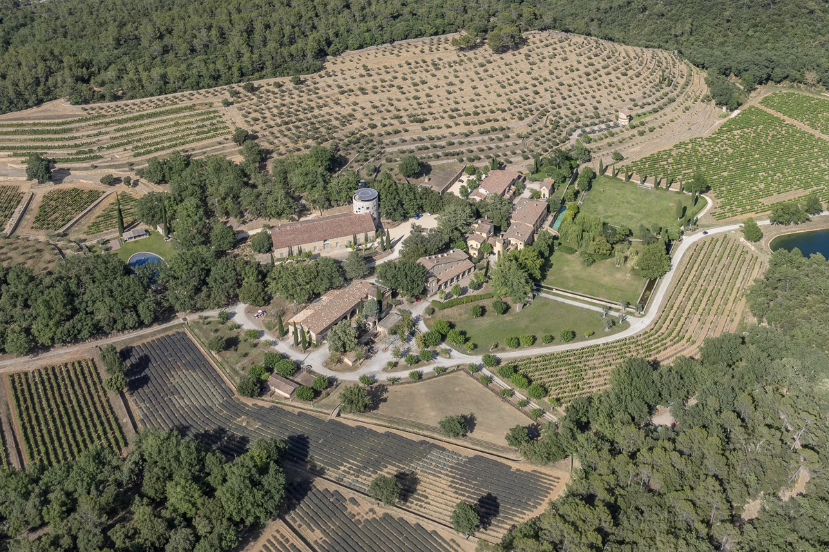    Брэд Питт и Анджелина Джоли судятся на поместье с виноградниками и винодельнейLegion-Media