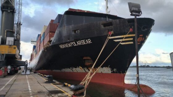     Китайский контейнеровоз Newnew Polar Bear / Фото: Телеграм-канал Антона Алиханова