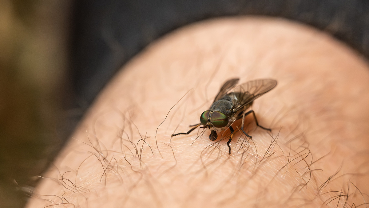   Silas Stein / dpa / TASS