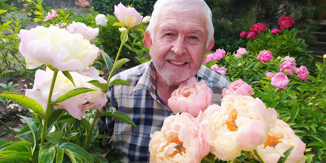 В розовом цвете