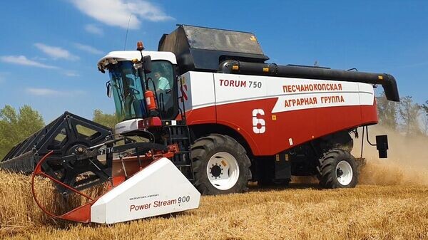    © Фото / Юлия Насулина